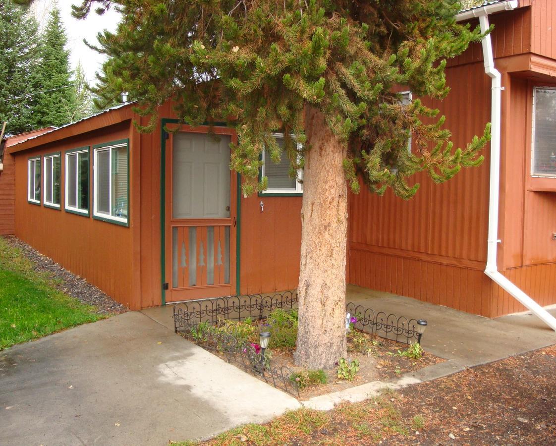 Yellowstone Wildlife Cabins West Yellowstone Extérieur photo